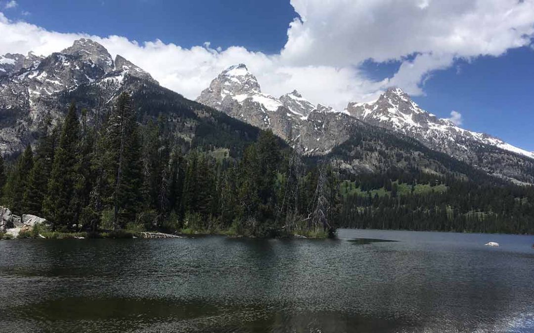 Summer Has Arrived in the Tetons